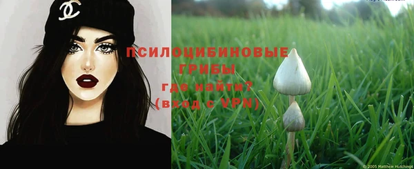дурь Абаза