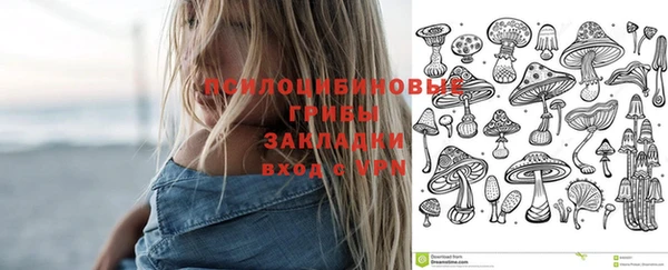 дурь Абаза