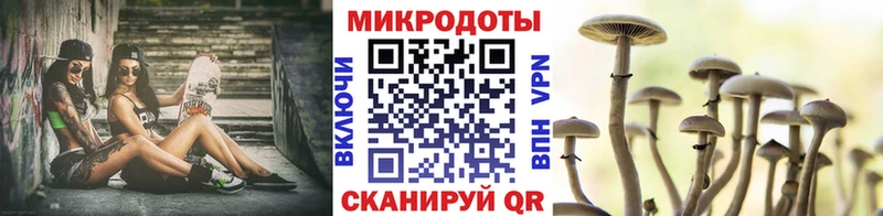 Галлюциногенные грибы Psilocybine cubensis  Вологда 